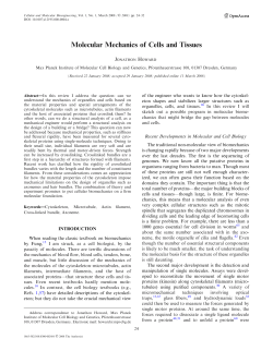 Molecular Mechanics of Cells and Tissues - MPI