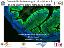 Role of the intestinal NAPE-PLD in energy homeostasis, glucose