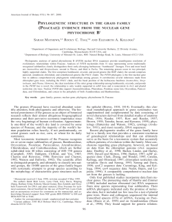 phylogenetic structure in the grass family (poaceae): evidence from