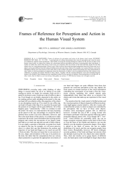 Frames of Reference for Perception and Action in the Human Visual