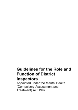 Guidelines for the role and function of district