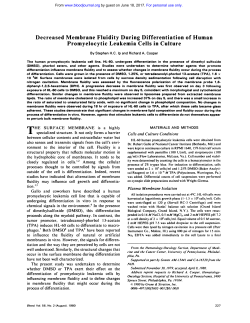 Decreased Membrane Fluidity During Differentiation of Human