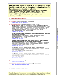 Anthrax Toxin Receptor (ATR/TEM8) is Highly Expressed in