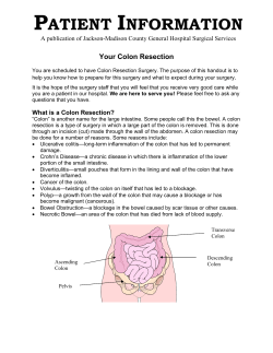 Colon Resection