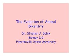 part1 - Fayetteville State University