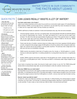 THE FACTS ABOUT LEAKS - Truckee Meadows Water Authority