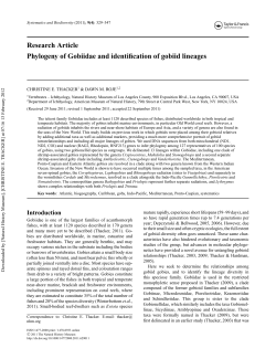 Phylogeny of Gobiidae and identification of gobiid lineages
