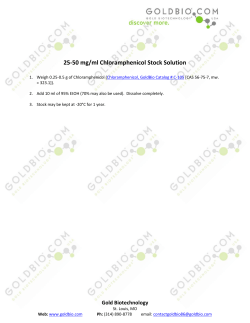 25-50 mg/ml Chloramphenicol Stock Solution