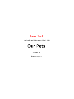 Our Pets - Hamilton Trust