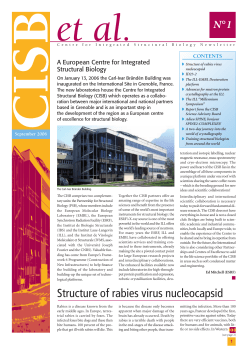 Structure of rabies virus nucleocapsid