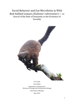 Social Behavior and Gut Microbiota in Wild Red