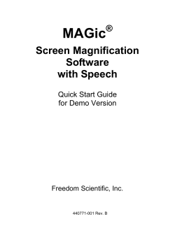 Screen Magnification Software with Speech