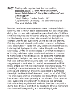 Dividing cells regulate their lipid composition Eleonora Muro1, G