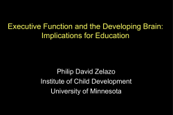 Executive Function and the Developing Brain: Implications for