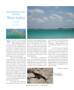Bonefishing in the British West Indies
