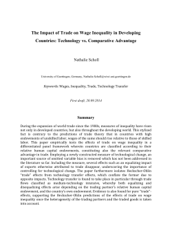 The Impact of Trade on Wage Inequality in Developing Countries