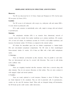 EDOPLASMIC RETICULUM STRUCTURE AND FUNCTIONS