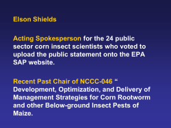Elson Shields Acting Spokesperson for the 24 public sector corn