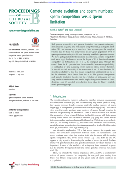 Gamete evolution and sperm numbers: sperm competition versus