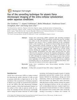 Use of the unroofing technique for atomic force microscopic imaging
