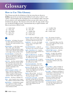 Glossary - Champion School