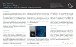 Correlative Light and Electron Microscopy (CLEM)