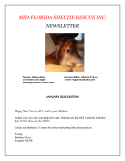 MID-FLORIDA SHELTIE RESCUE INC. NEWSLETTER