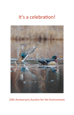 Housatonic Valley Association