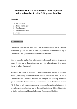 Observaci&oacute;n Civil Internacional a los 22 presos saharauis