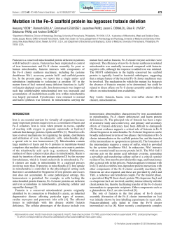 Mutation in the Fe&ndash;S scaffold protein Isu bypasses frataxin deletion