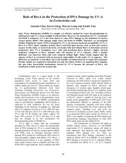 Role of RecA in the protection of DNA damage by UV
