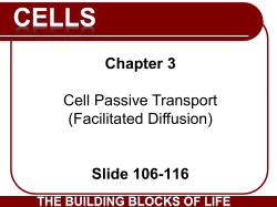 (Facilitated Diffussion)_106