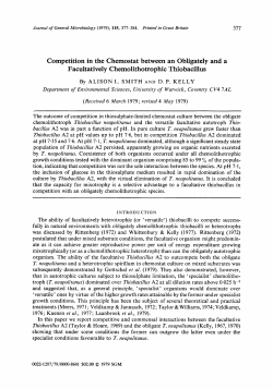 Competition in the Chemostat between an Obligately