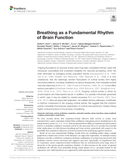 Breathing as a Fundamental Rhythm of Brain Function