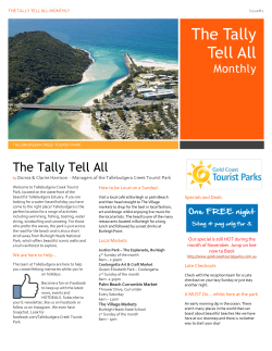The Tally Tell All - Gold Coast