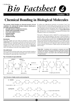 Chemical Bonding in Biological Molecules