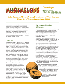 Muskmelons - University of Saskatchewan