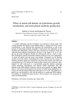 Effect of initial cell density on hybridoma growth