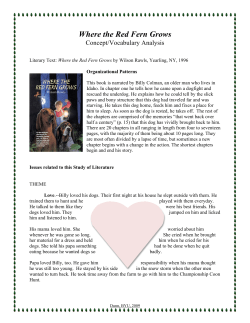 concept analysis, where the red fern grows