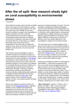 After the oil spill: New research sheds light on coral