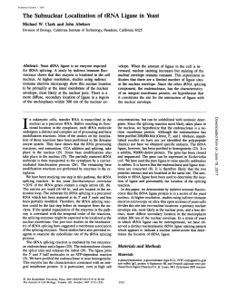 The Subnuclear Localization of tRNA Ligase in Yeast