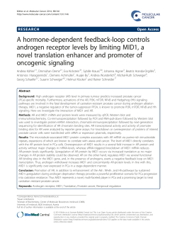 A hormone-dependent feedback-loop controls androgen receptor