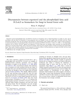 Mona N. H&ouml;gberg. 2006