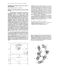 Hydrophilic and Hydrophobic Surface Map Analysis of