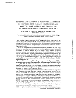 elastase and cathepsin g activities are present in immature bone