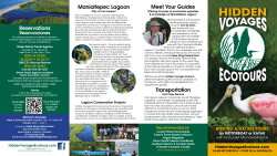 brochure - Hidden Voyages Ecotours