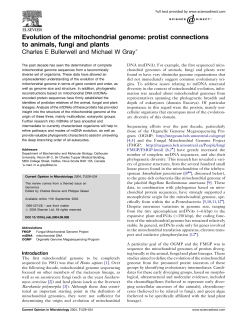 Evolution of the mitochondrial genome: protist connections to