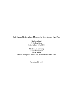 Salt Marsh Restoration: Changes in Greenhouse Gas Flux