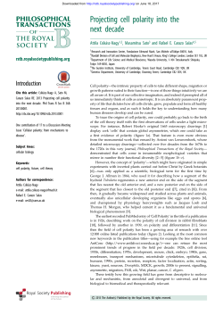 Projecting cell polarity into the next decade