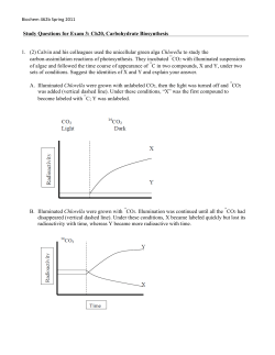 Study Questions for Exam 3: Ch20, Carbohydrate Biosynthesis 1. (2